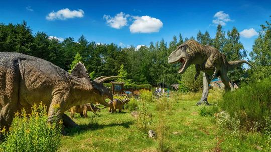 JuraPark w Bałtowie najpopularniejszą atrakcja turystyczną regionu