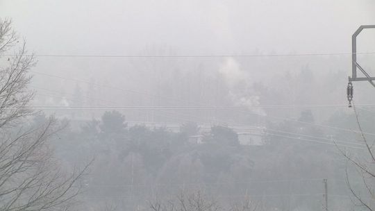 Kielce chcą być liderem w walce ze smogiem