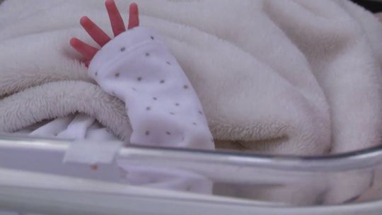 Kierownik Kliniki Neonatologii WSZ w Kielcach: noworodki są pod opieką odpowiedzialnego personelu medycznego