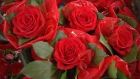 "Kobiety się kocha za to, że są"