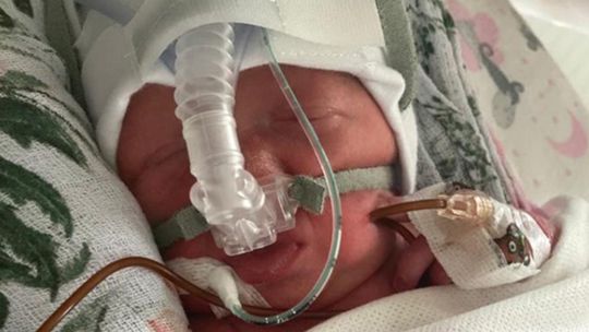 Kolejne trojaczki przyszły na świat w Kielcach