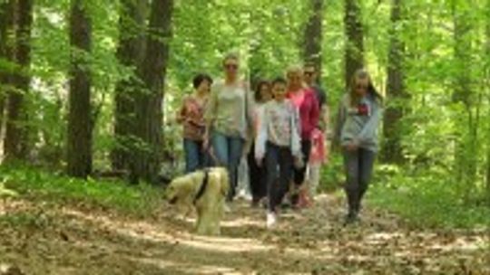 Kolejny niedzielny spacer pod hasłem „Czas dla nas”