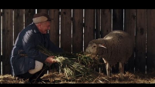 Kolejny sukces twórców i aktorów z naszego regionu