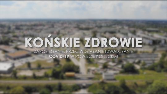 „Końskie zdrowie”. Projekt jakich mało