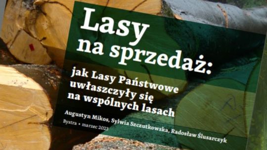 Lasy na sprzedaż – jak Lasy Państwowe uwłaszczyły się na wspólnych lasach