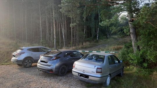 Lasy Państwowe w Radomiu podsumowują akcję „Jesień 2021”