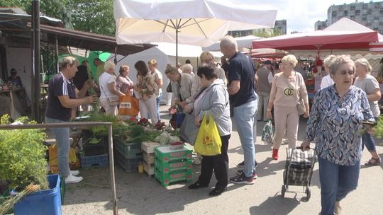 Liczba 100 latków w regionie wzrasta