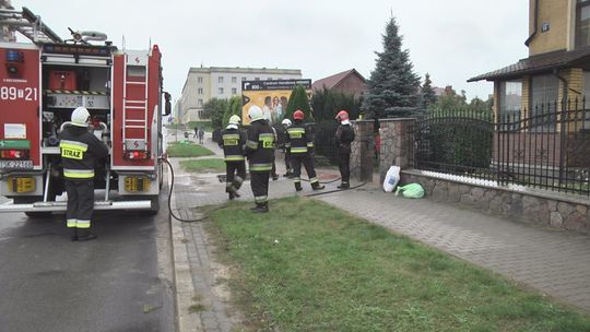 Łoś zawisł na płocie jednej z posesji. Ekolodzy ostrzegali