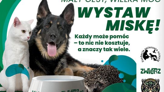 Mały gest, wielka moc - wystaw miskę!