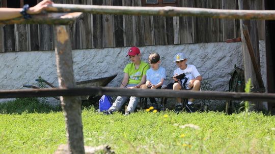 MEN: kuratorzy zatwierdzili dotąd 27,2 tys. wyjazdów i półkolonii