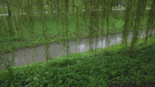 Miasto Kielce wychodzi z pilotażowym projektem dotyczącym "deszczówek”