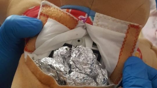 Mieszkanka Kielc posiadała w swoim mieszkaniu narkotyki