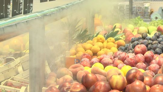 „Mieszko” - nowy sklep PSS Społem Kielce już otwarty