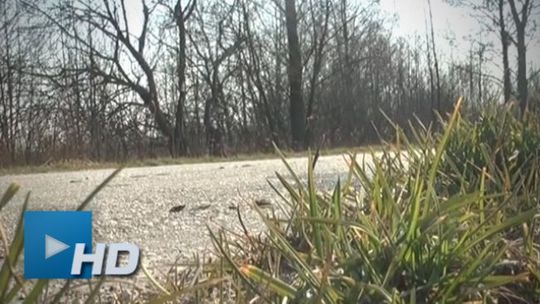 Miliony dla samorządów na remonty dróg