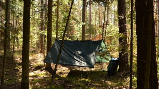 Miłośnicy surviwalu będą mogli legalnie zanocować w lesie