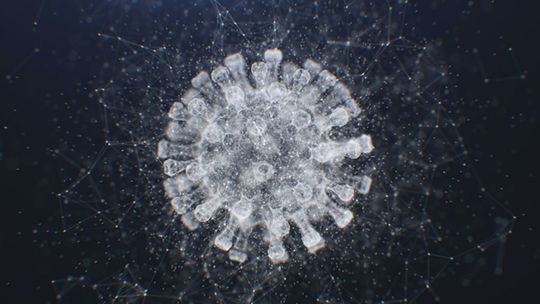 Ministerstwo Zdrowia: 8790 nowych zakażeń koronawirusem, najmniej w województwie świętokrzyskim