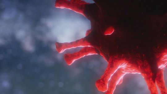 Ministerstwo Zdrowia: 9 436 nowych zakażeń koronawirusem, zmarło 381 osób