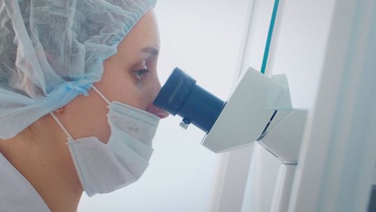 Ministerstwo Zdrowia: 9 954 nowe zakażenia koronawirusem, zmarły 282 osoby