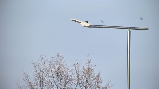 Modernizacja oświetlenia ulicznego – etap wymiany lamp