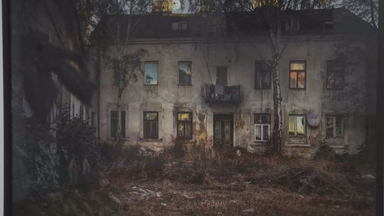 "Moja Wonderlandia" - ekspozycja Przemysława Sękowskiego w Galerii Winda