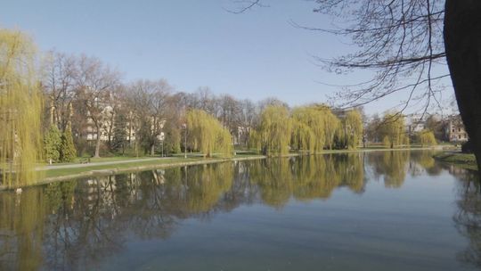 Można spacerować. Rezerwaty Wietrznia, Ślichowice i Park Kadzielnia otwarte dla zwiedzających