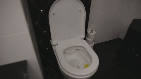 MPWiK przypomina - WC to nie kosz na śmieci