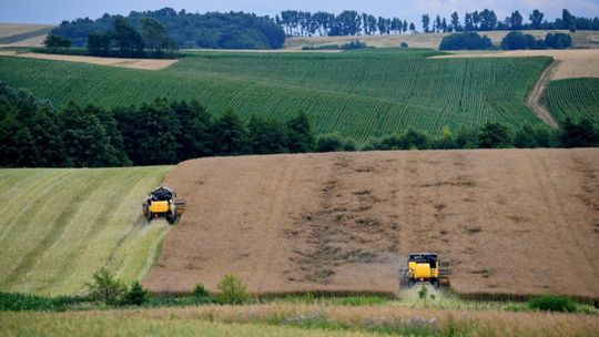 MRiRW: rolnictwo na terenach górskich powinno się opłacać