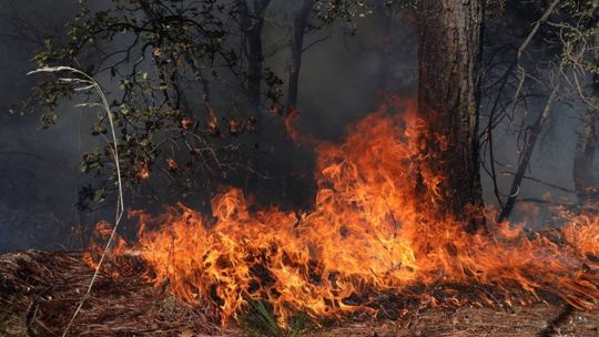 MSZ apeluje do turystów o czujność w związku z pożarami w Turcji