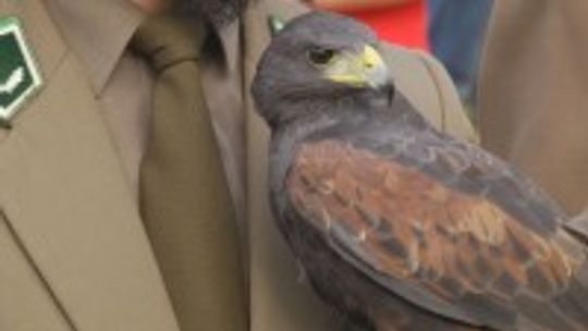 Myśliwi dla mieszkańców - Hebertus Świętokrzyski 2018