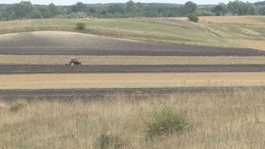 Na co pieniądze w nowej unijnej perspektywie dotyczącej polityki rolnej?