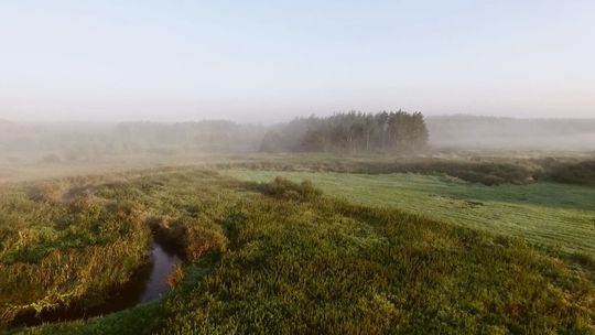 „Na Ponidziu wiosna trwa”. Przekonaj się już w połowie sierpnia