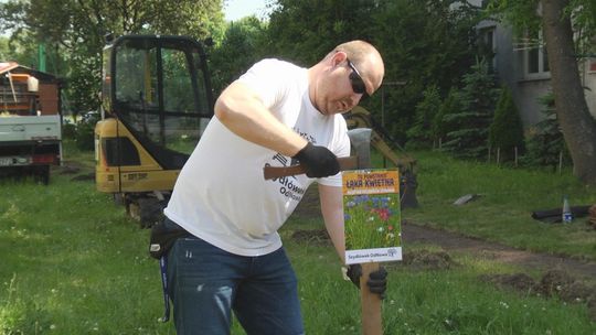 Na Szydłówku zasiali kolejną łąkę kwietną