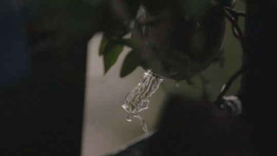 Nabór wniosków w pilotażowym programie "małej retencji"