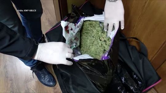 Narkotyki o wartości ponad 30 mln zł i 20 osób z zarzutami