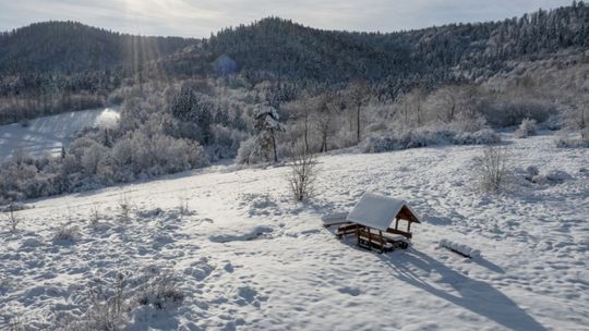 Nawet 20 stopni mrozu zapowiadają synoptycy w tym tygodniu