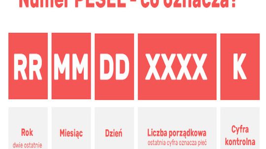 Nie wszyscy Polacy znają zawartość numeru PESEL