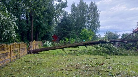 Niszczące skutki gradobicia i burzy w gminie Chęciny