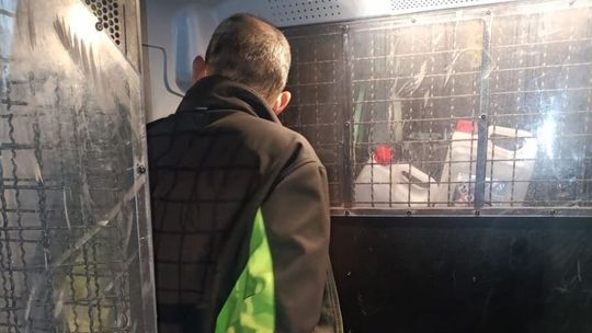 Nocny amator pieczywa odpowie za sześć kradzieży z włamaniem