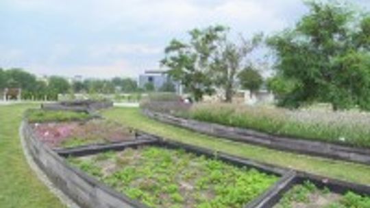 Nowe atrakcje w Ogrodzie Botanicznym