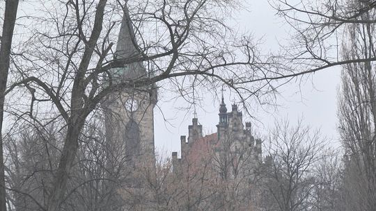 Nowe oblicze koneckiego parku będzie widoczne już podczas Złotej Polskiej Jesieni