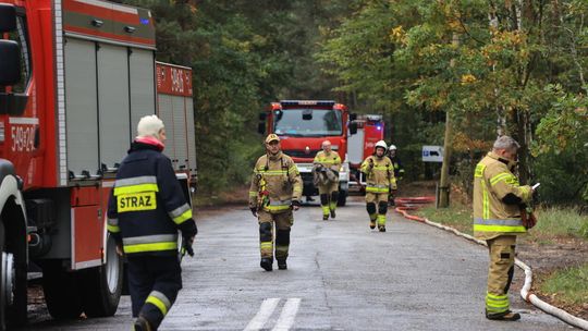 Od czwartku w pożarach zginęło siedem osób