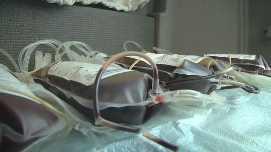 Oddali krew dla upamiętnienia "wyklętych"