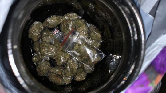 Odnaleziona skrytka na narkotyki