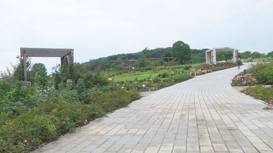 Ogród Botaniczny i Geopark można będzie zwiedzać od 15 maja