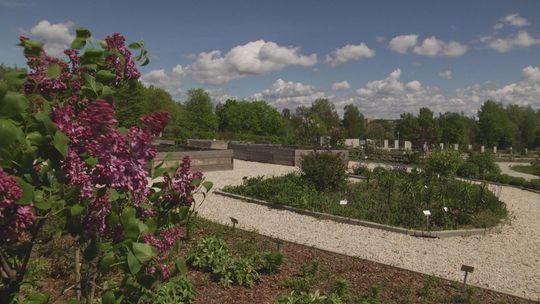 Ogród Botaniczny w Kielcach w powolnym rozkwicie