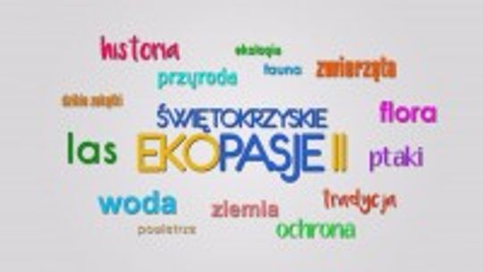 Ogródki działkowe to zielone płuca Kielc. Zapraszamy na kolejny odcinek programu "Świętokrzyskie Ekopasje II"