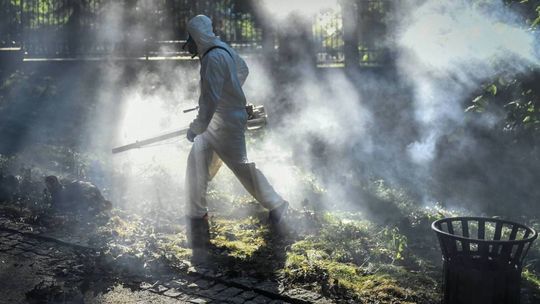 Opryski przeciwko komarom i kleszczom to nie jest rozwiązanie