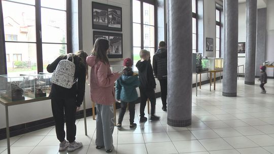 Pająki, węże i żaby. W Miejskim Centrum Kultury trwa nietypowa wystawa