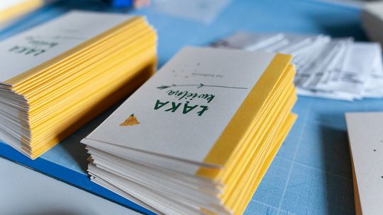 "Pakiet Kwietny" - sprawdź jeśli chcesz otrzymać nasiona