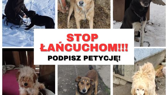 Petycja STOP łańcuchom!